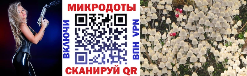 сайты даркнета Telegram купить наркоту Свирск Псилоцибиновые грибы мицелий