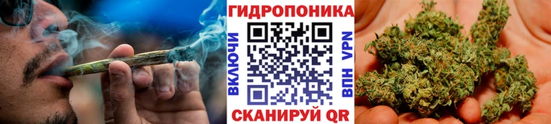 Конопля планчик  сайты даркнета формула  Свирск 